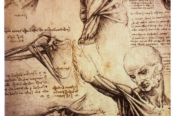 Ancient drawings by the renaissance artist and scientist Leonardo DaVinci studying the human body